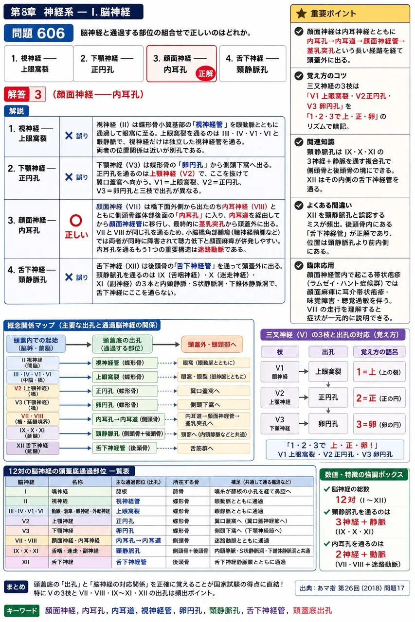 あマ指 第26回(2018) 問題17|脳神経と通過する部位の組合せで正しいのはどれか。 解説図