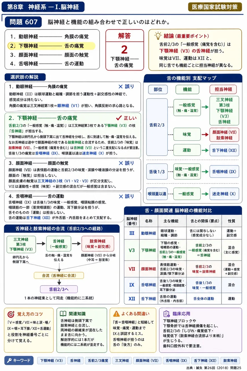 鍼灸 第26回(2018) 問題25｜脳神経と機能の組み合わせで正しいのはどれか。 解説図