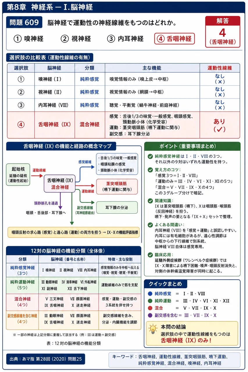 あマ指 第28回(2020) 問題25｜脳神経で運動性の神経線維をもつのはどれか。 解説図