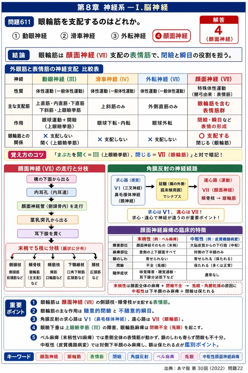 あマ指 第30回(2022) 問題22｜眼輪筋を支配するのはどれか。 解説図