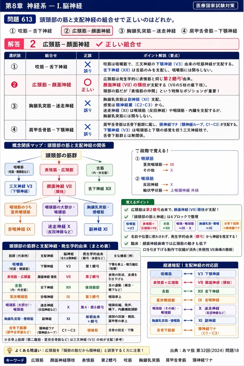 あマ指 第32回(2024) 問題18|頭頸部の筋と支配神経の組合せで正しいのはどれか。 解説図