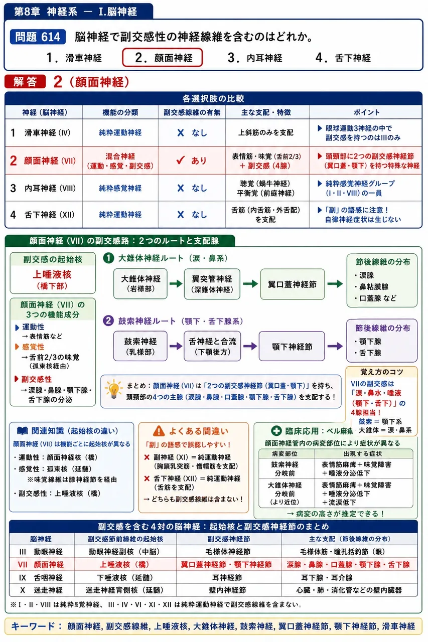 あマ指 第32回(2024) 問題22｜脳神経で副交感性の神経線維を含むのはどれか。 解説図