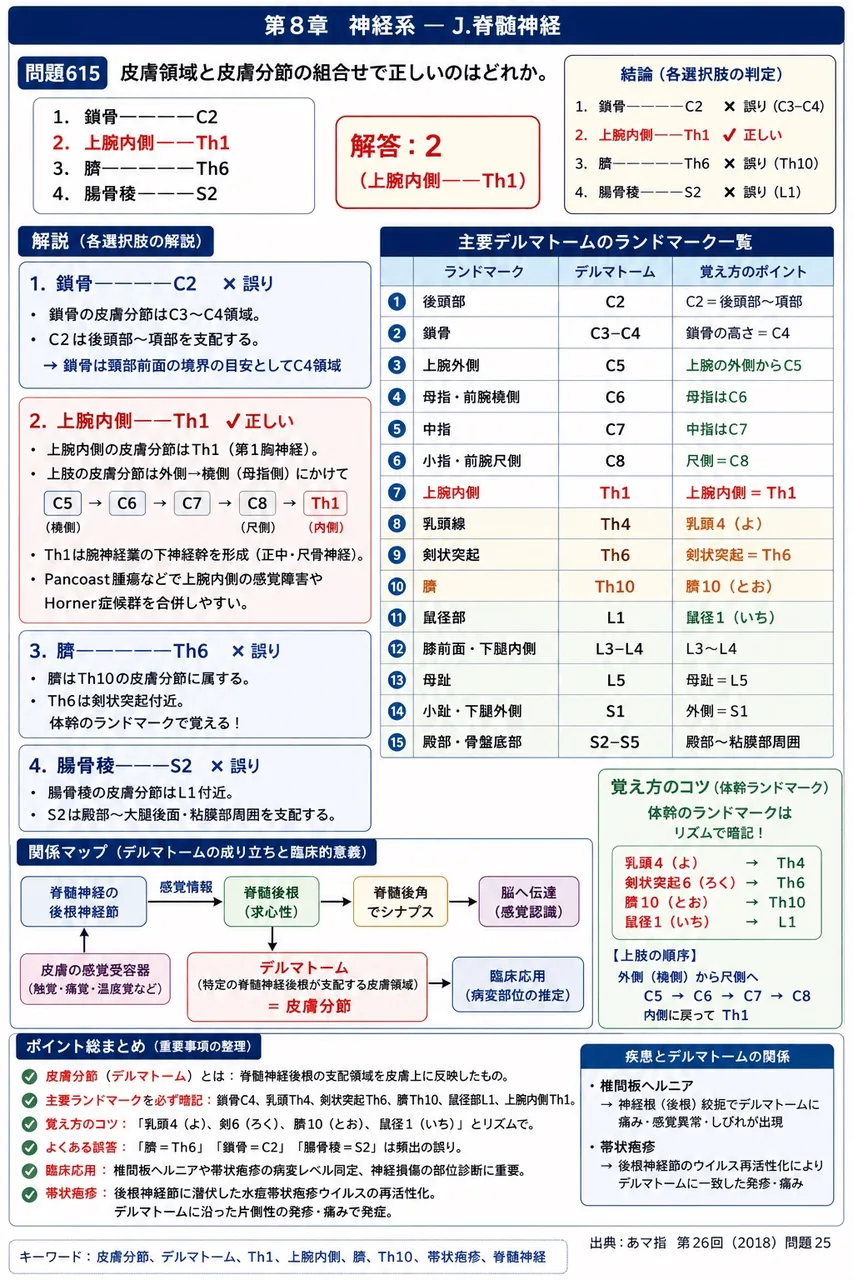 あマ指 第26回(2018) 問題25|皮膚領域と皮膚分節の組合せで正しいのはどれか。 解説図