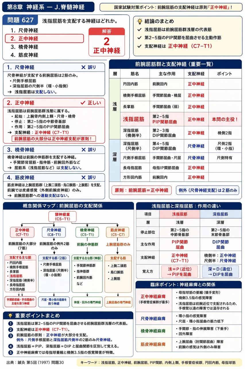 鍼灸 第5回(1997) 問題30|浅指屈筋を支配する神経はどれか。 解説図