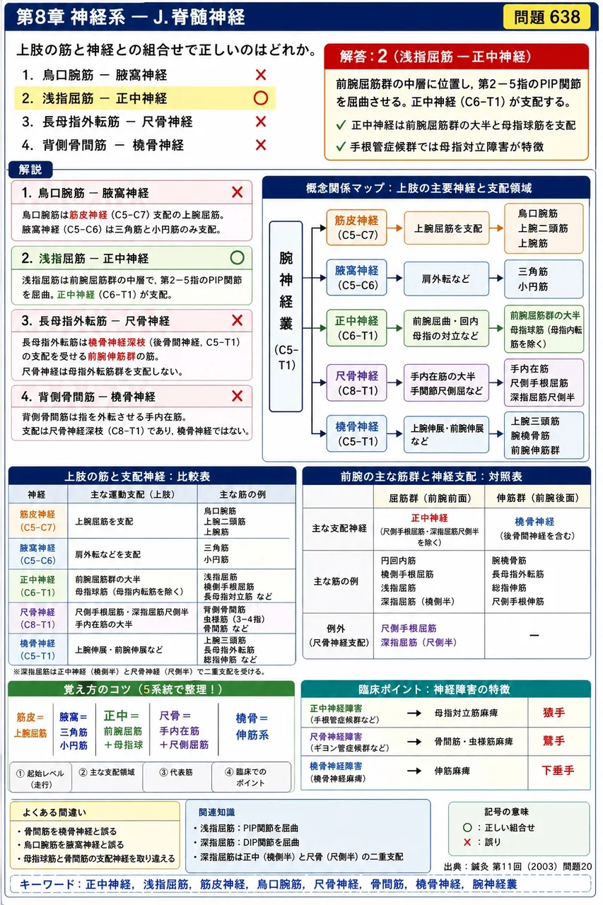 鍼灸 第11回(2003) 問題20|上肢の筋と神経との組合せで正しいのはどれか。 解説図
