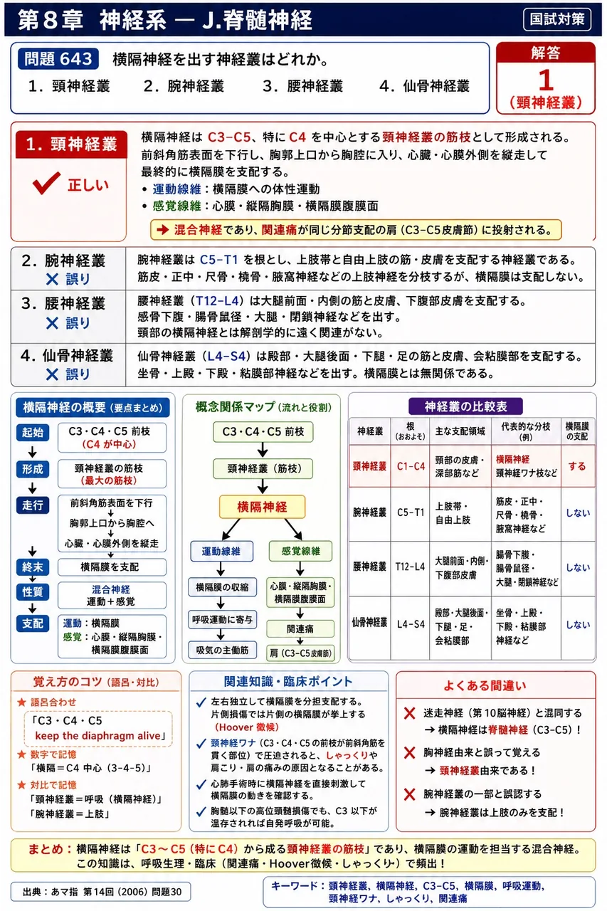 あマ指 第14回(2006) 問題30｜横隔神経を出す神経叢はどれか。 解説図