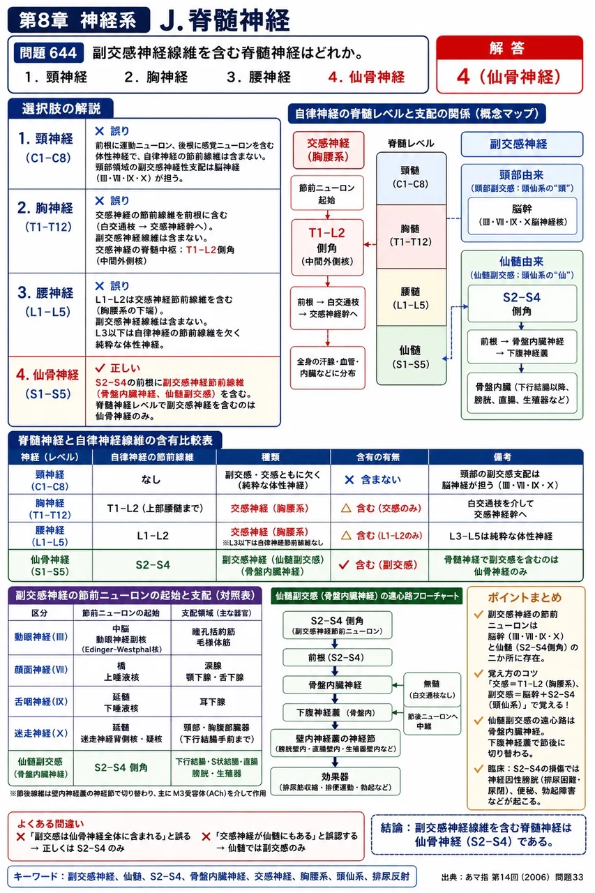 あマ指 第14回(2006) 問題33|副交感神経線維を含む脊髄神経はどれか。 解説図