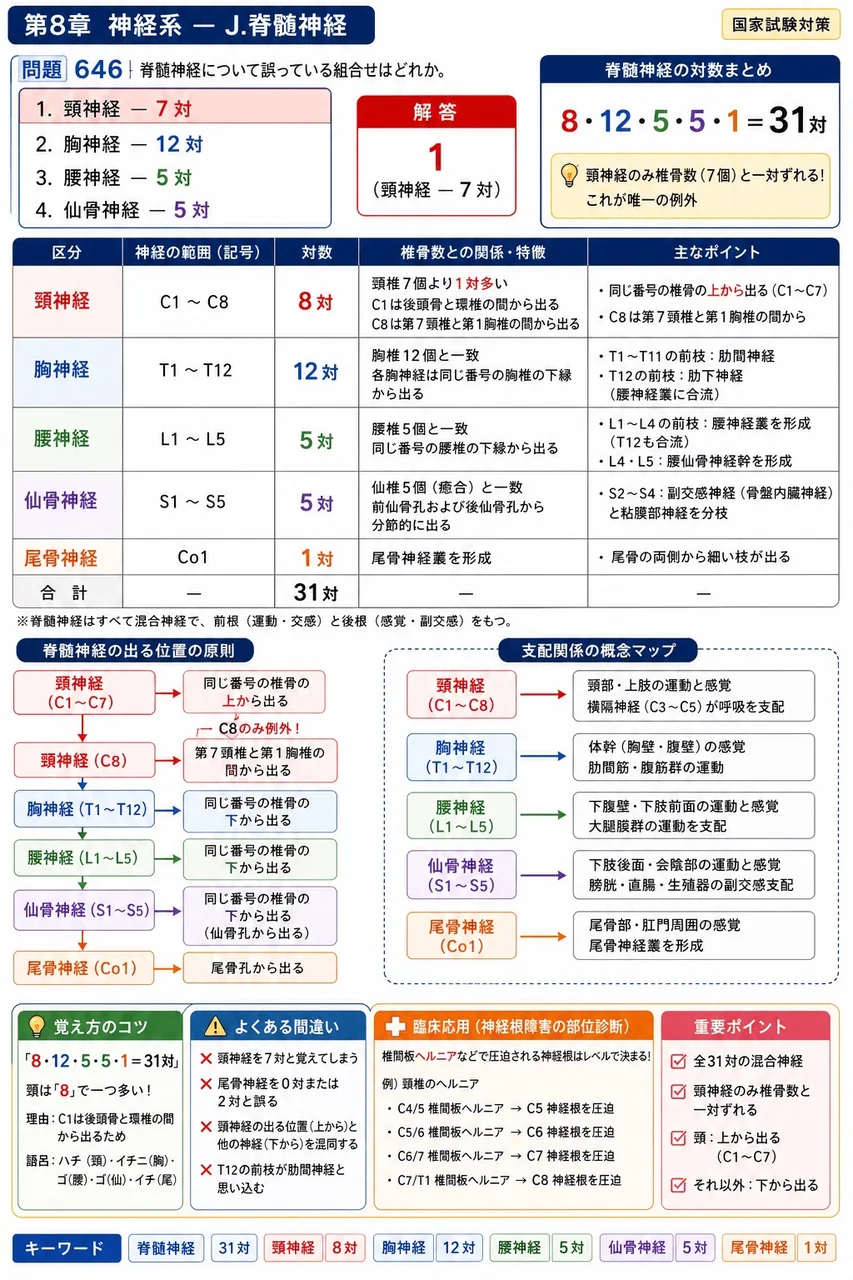 あマ指 第15回(2007) 問題30|脊髄神経について誤っている組合せはどれか。 解説図