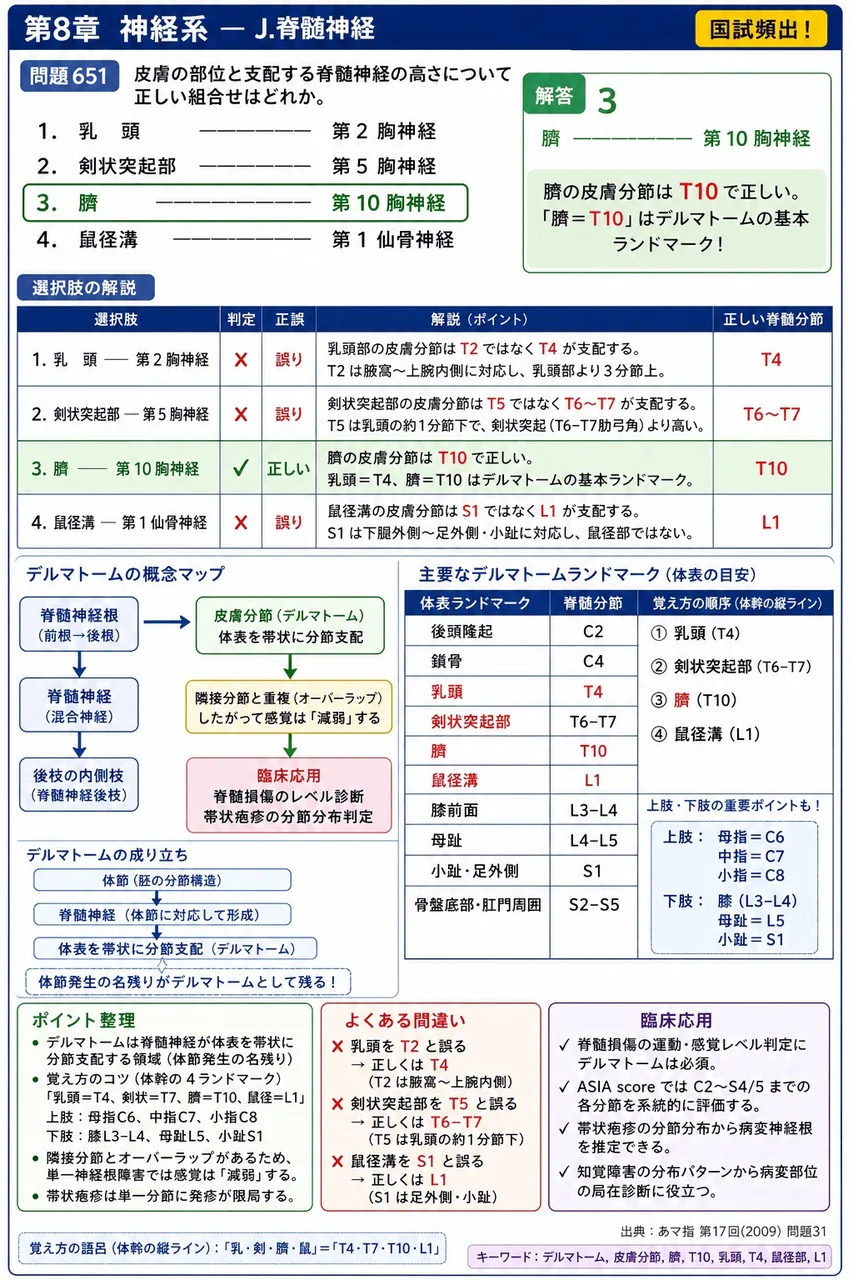 あマ指 第17回(2009) 問題31｜皮膚の部位と支配する脊髄神経の高さについて正しい組合せはどれか。 解説図