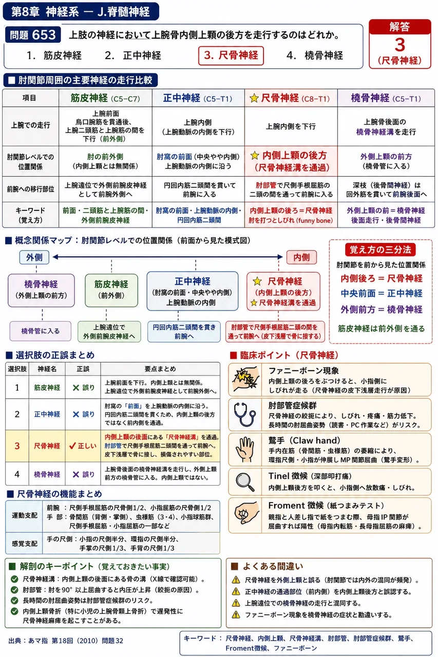 あマ指 第18回(2010) 問題32｜上肢の神経において上腕骨内側上顆の後方を走行するのはどれか。 解説図