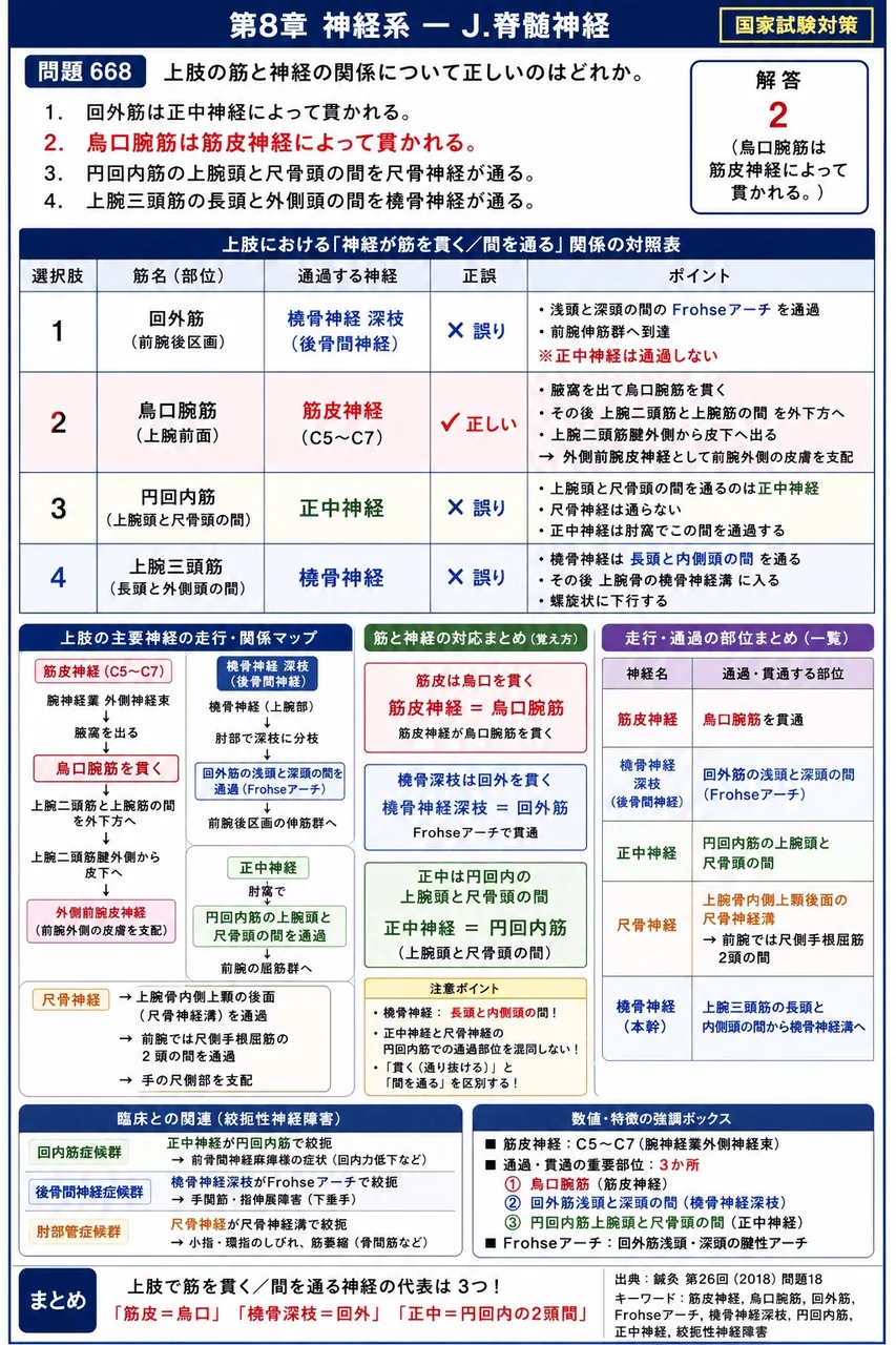 鍼灸 第26回(2018) 問題18｜上肢の筋と神経の関係について正しいのはどれか。 解説図