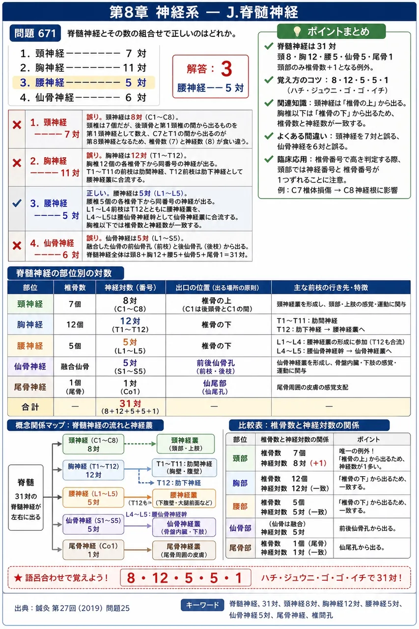 鍼灸 第27回(2019) 問題25|脊髄神経とその数の組合せで正しいのはどれか。 解説図