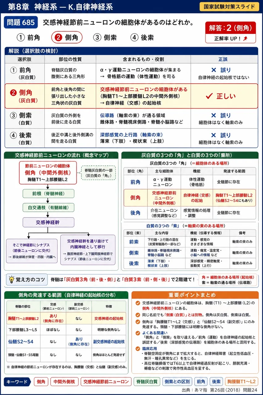 あマ指 第26回(2018) 問題24｜交感神経節前ニューロンの細胞体があるのはどれか。 解説図