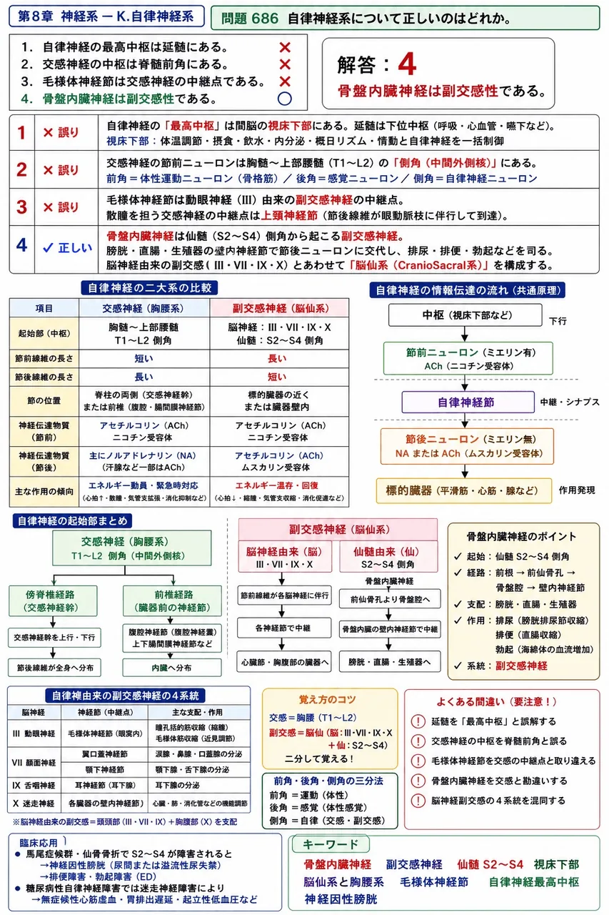 あマ指 第29回(2021) 問題21｜自律神経系について正しいのはどれか。 解説図