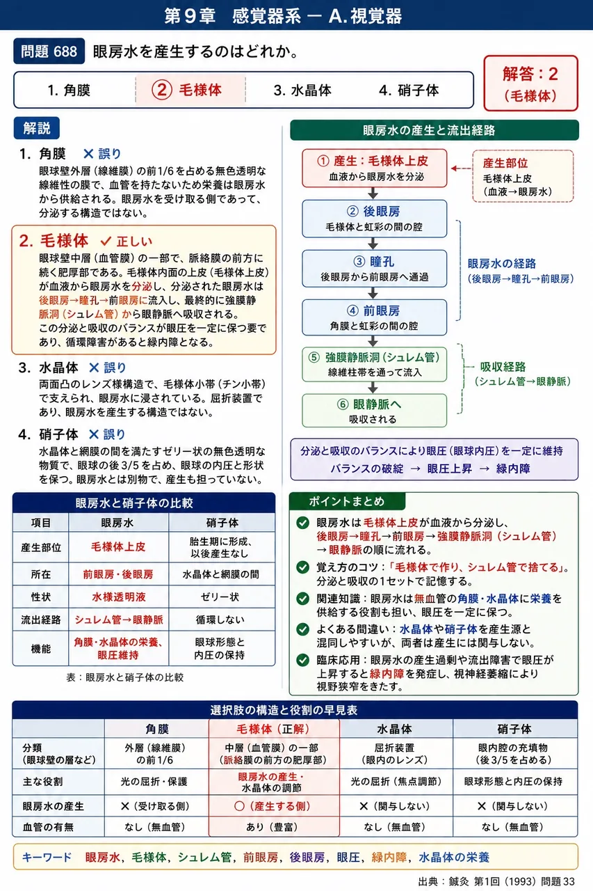 鍼灸 第1回(1993) 問題33｜眼房水を産生するのはどれか。 解説図