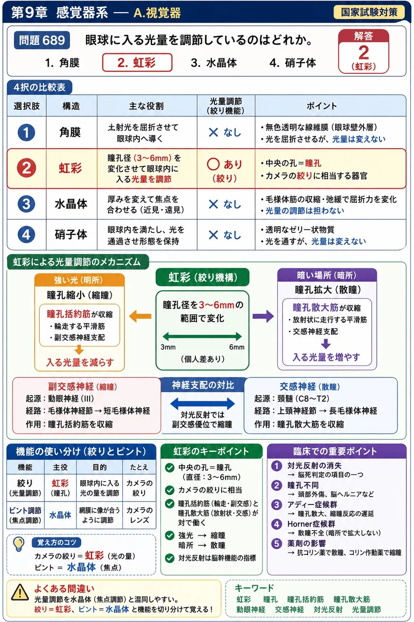 あマ指 第3回(1995) 問題34｜眼球に入る光量を調節しているのはどれか。 解説図
