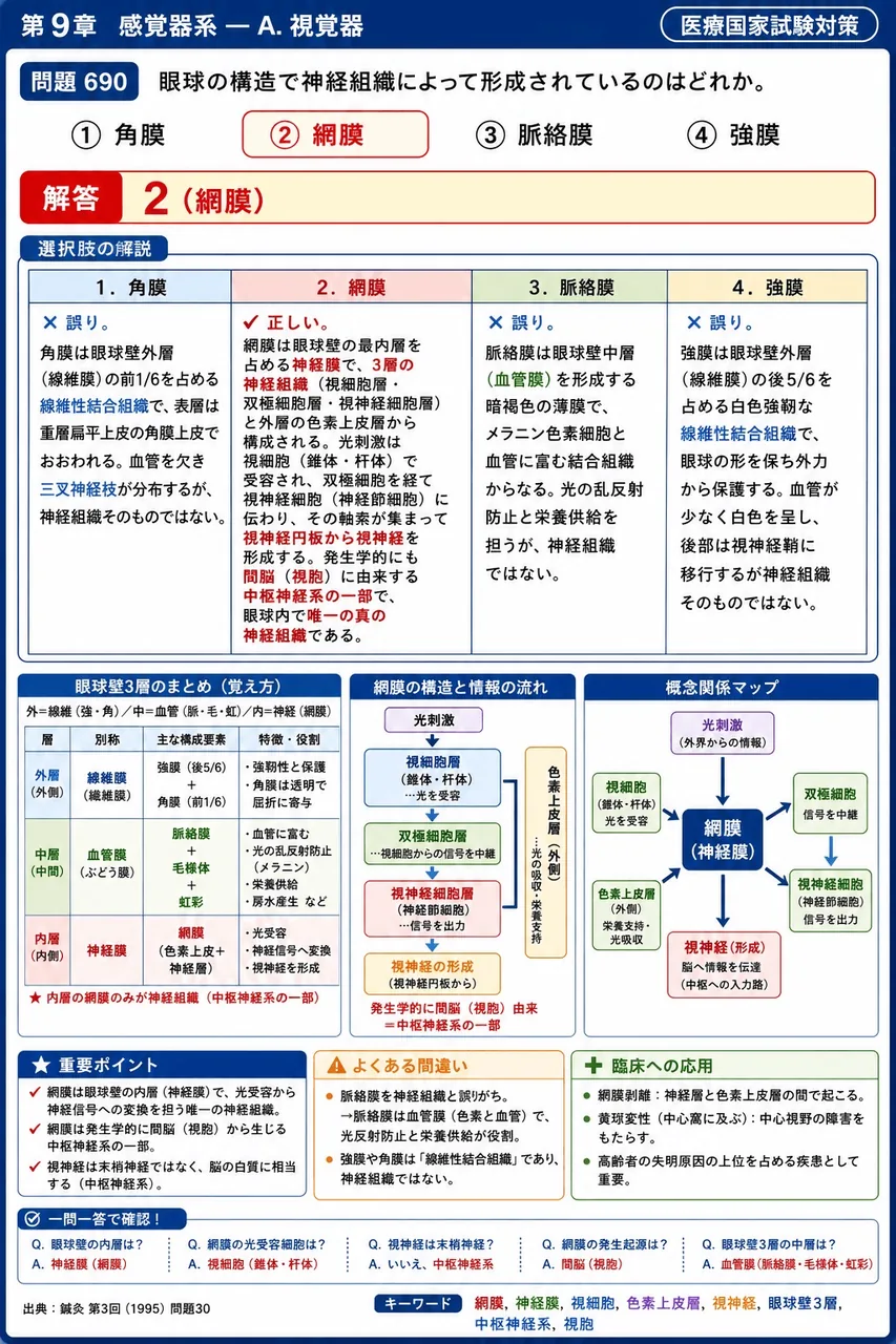 鍼灸 第3回(1995) 問題30｜眼球の構造で神経組織によって形成されているのはどれか。 解説図
