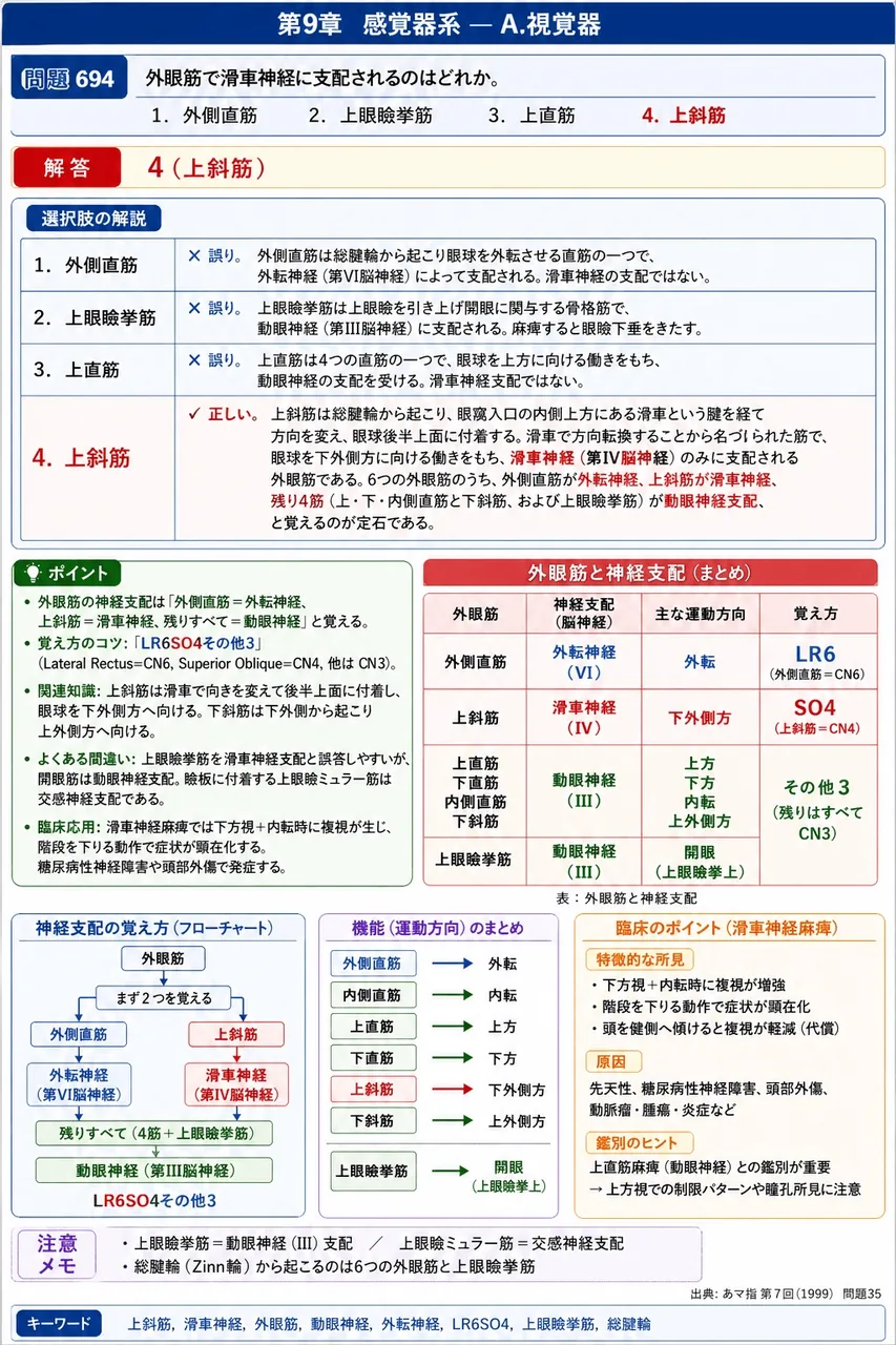 あマ指 第7回(1999) 問題35｜外眼筋で滑車神経に支配されるのはどれか。 解説図