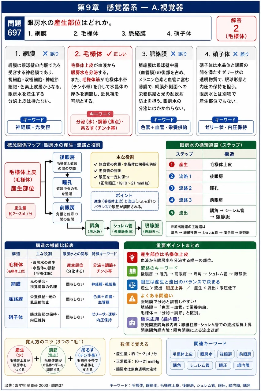 あマ指 第8回(2000) 問題37｜眼房水の産生部位はどれか。 解説図