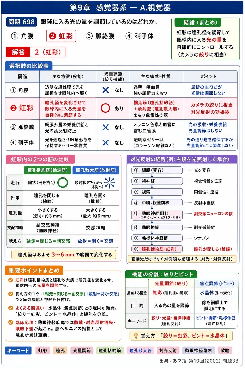 あマ指 第10回(2002) 問題38｜眼球に入る光の量を調節しているのはどれか。 解説図