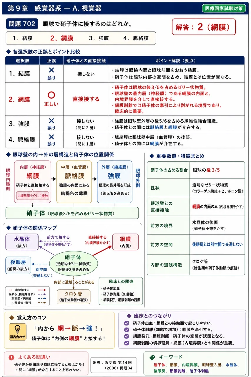 あマ指 第14回(2006) 問題34｜眼球で硝子体に接するのはどれか。 解説図