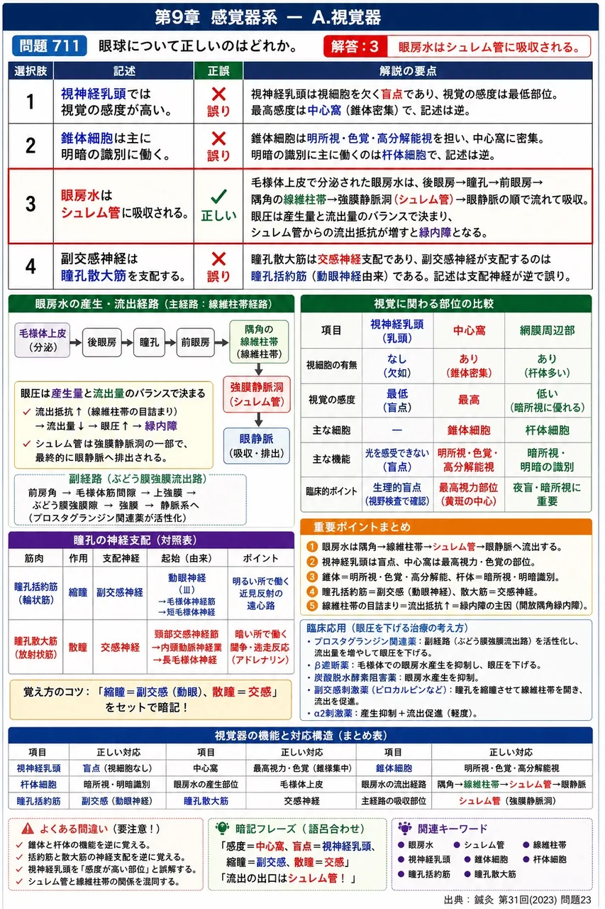 鍼灸 第31回(2023) 問題23|眼球について正しいのはどれか。 解説図