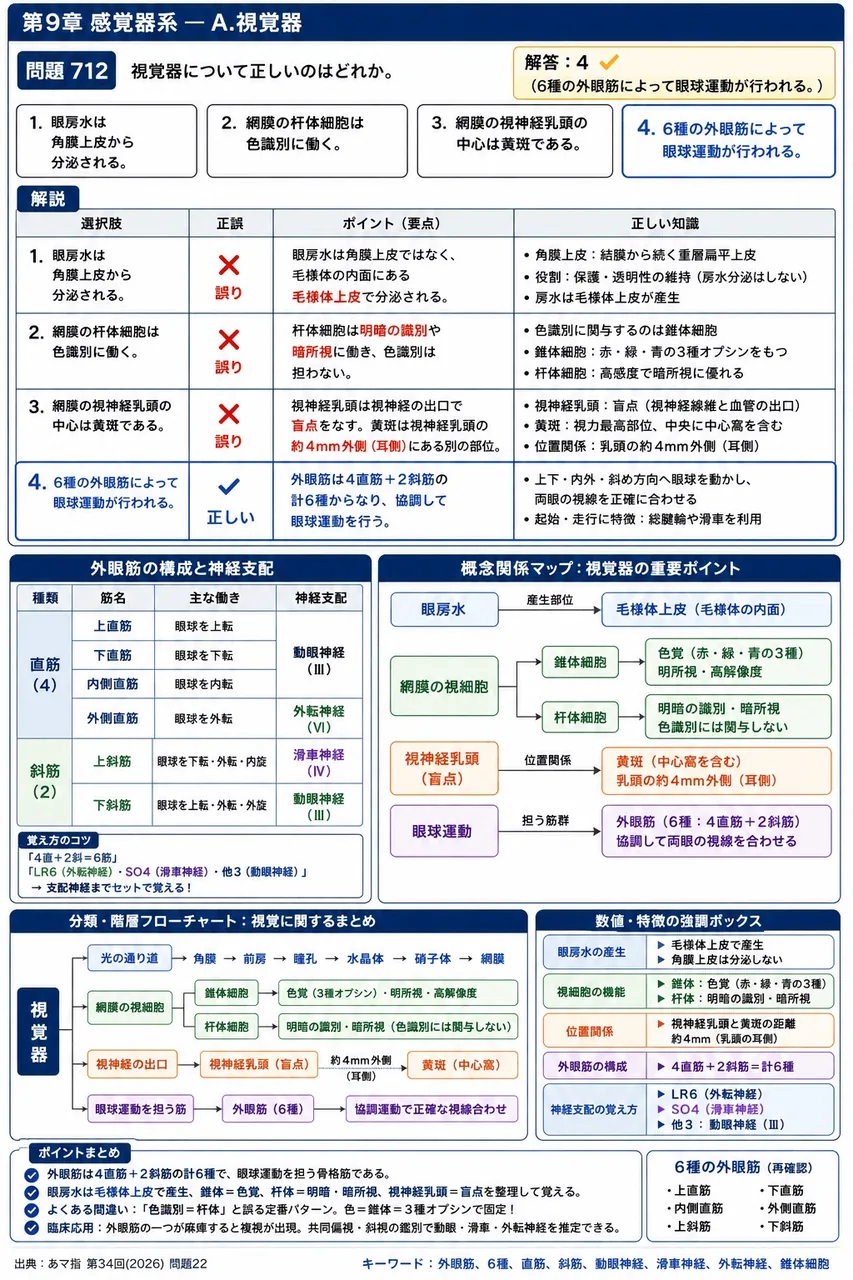 あマ指 第34回(2026) 問題22｜視覚器について正しいのはどれか。 解説図