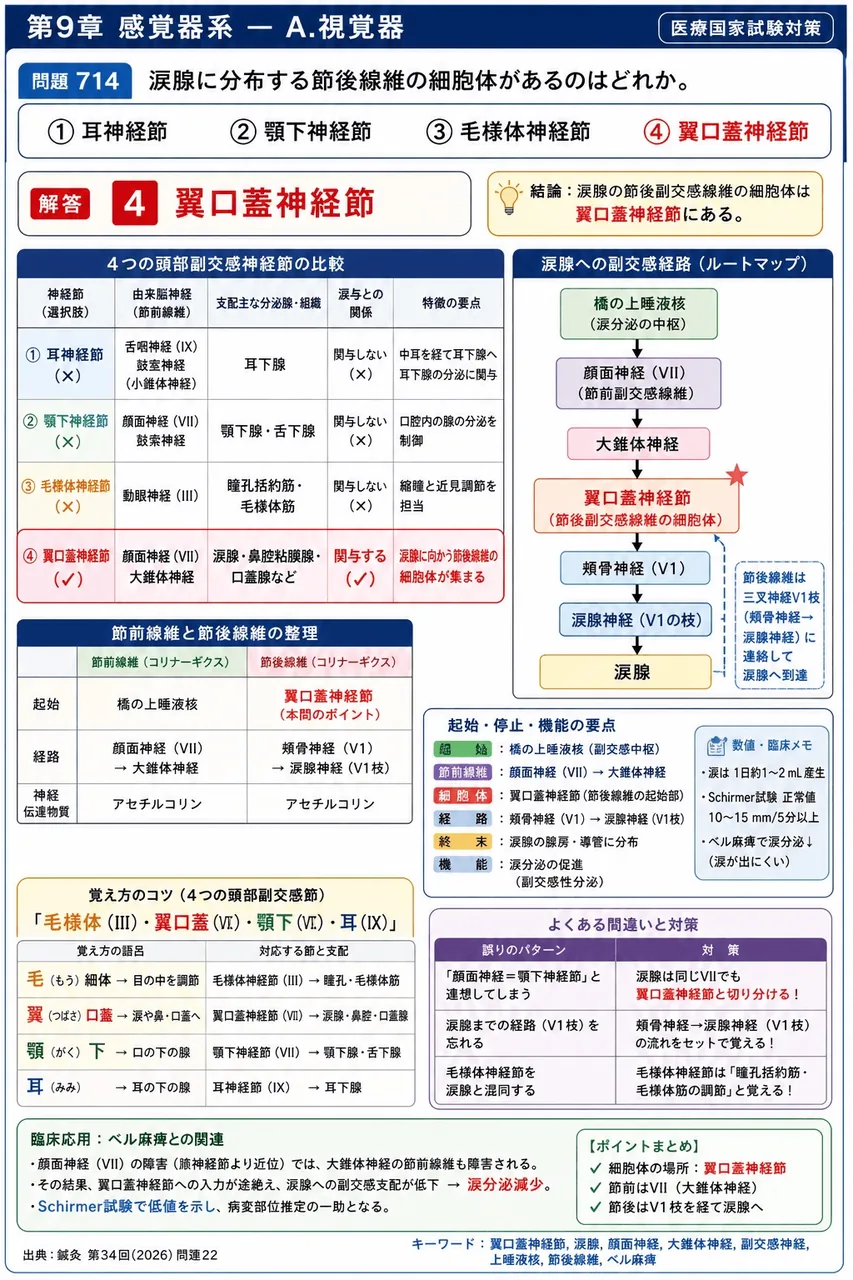 鍼灸 第34回(2026) 問題22｜涙腺に分布する節後線維の細胞体があるのはどれか。 解説図