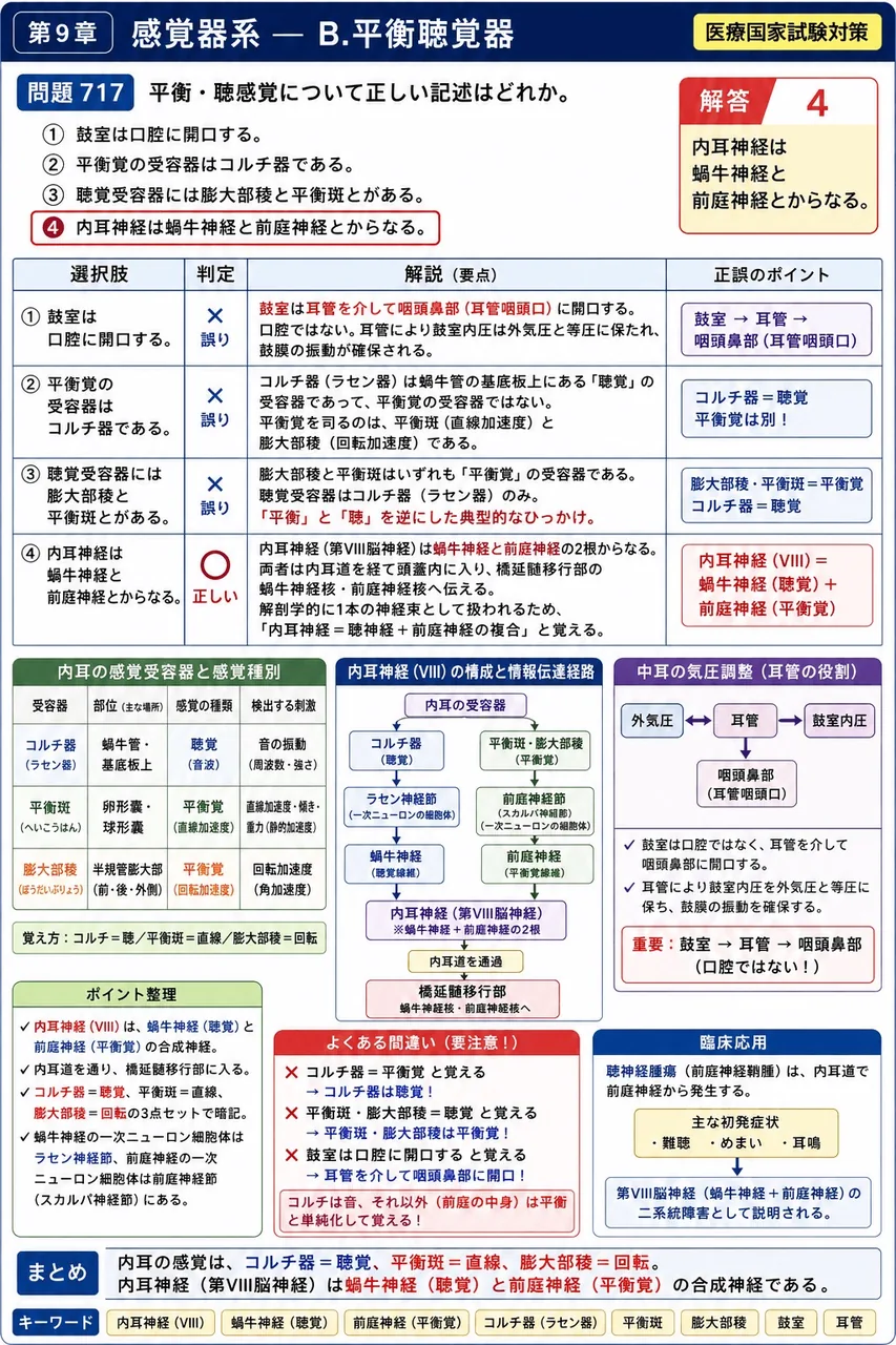 鍼灸 第2回(1994) 問題30｜平衡・聴感覚について正しい記述はどれか。 解説図