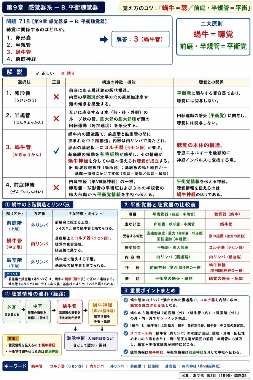 あマ指 第3回(1995) 問題35｜聴覚に関係するのはどれか。 解説図