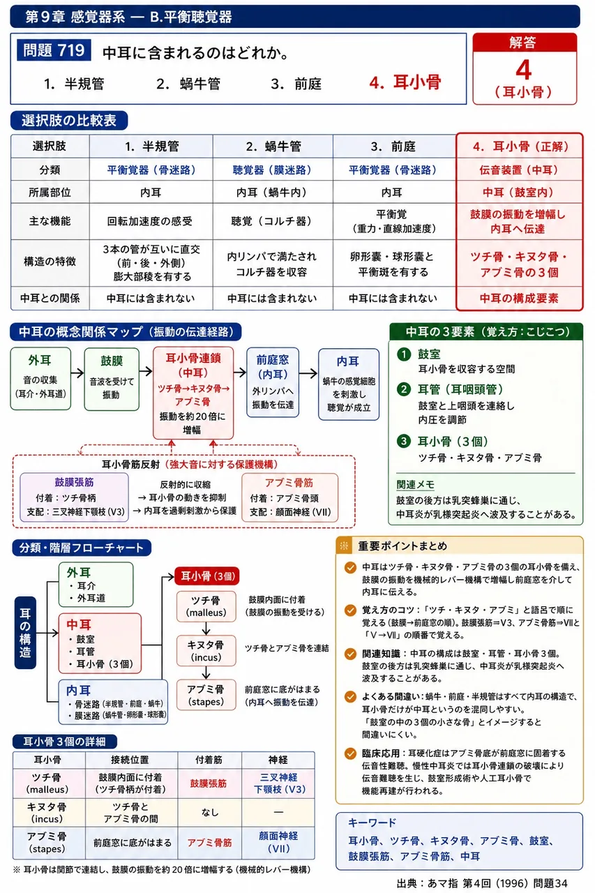 あマ指 第4回(1996) 問題34|中耳に含まれるのはどれか。 解説図