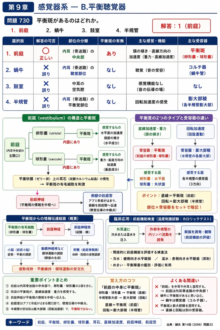 鍼灸 第14回(2006) 問題32｜平衡斑があるのはどれか。 解説図