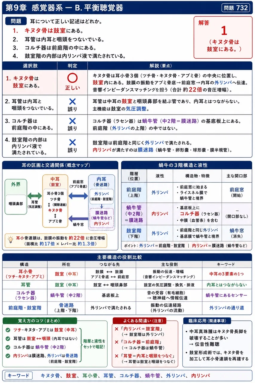 あマ指 第18回(2010) 問題33｜耳について正しい記述はどれか。 解説図