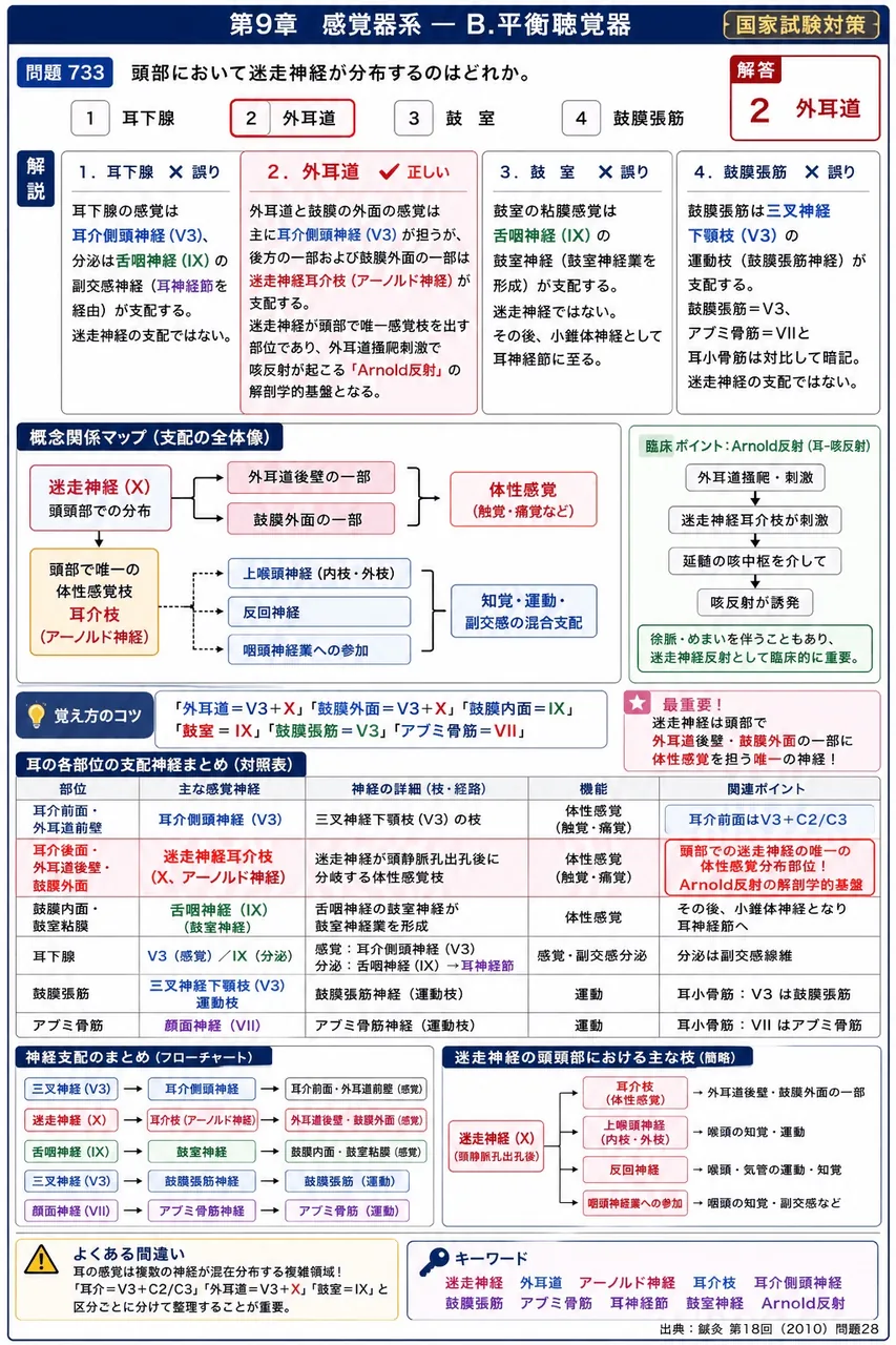 鍼灸 第18回(2010) 問題28｜頭部において迷走神経が分布するのはどれか。 解説図