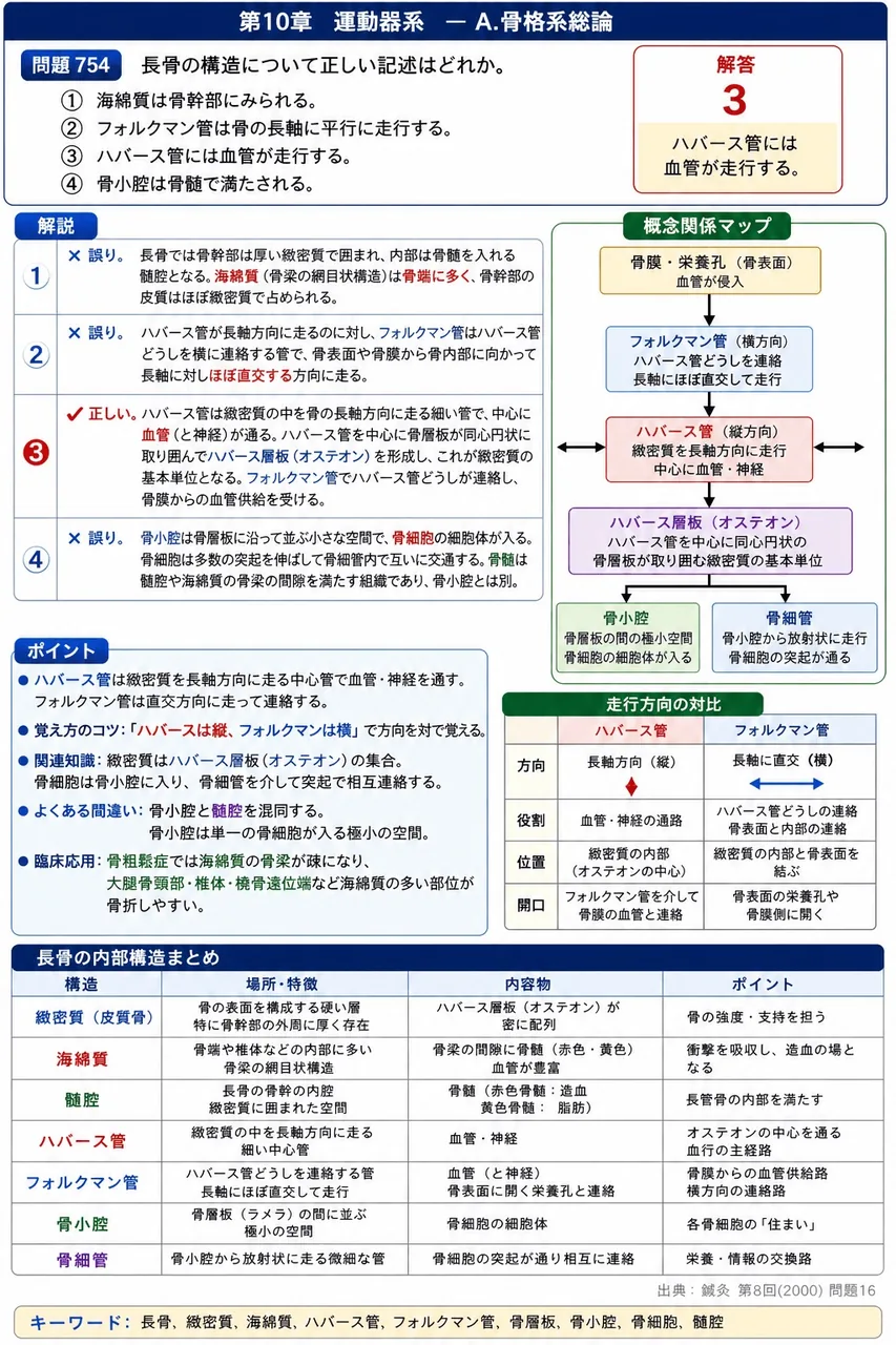 鍼灸 第8回(2000) 問題16|長骨の構造について正しい記述はどれか。 解説図