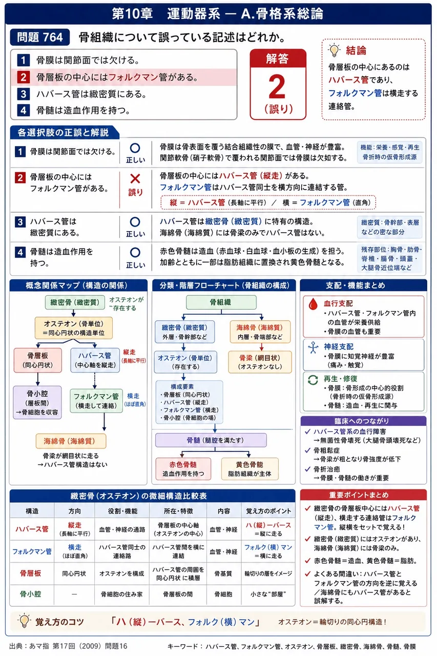 あマ指 第17回(2009) 問題16｜骨組織について誤っている記述はどれか。 解説図