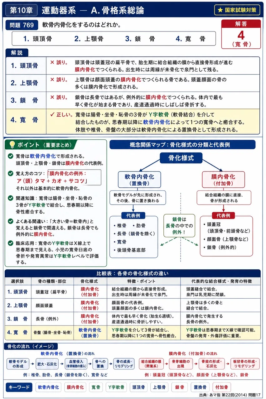 あマ指 第22回(2014) 問題17｜軟骨内骨化をするのはどれか。 解説図
