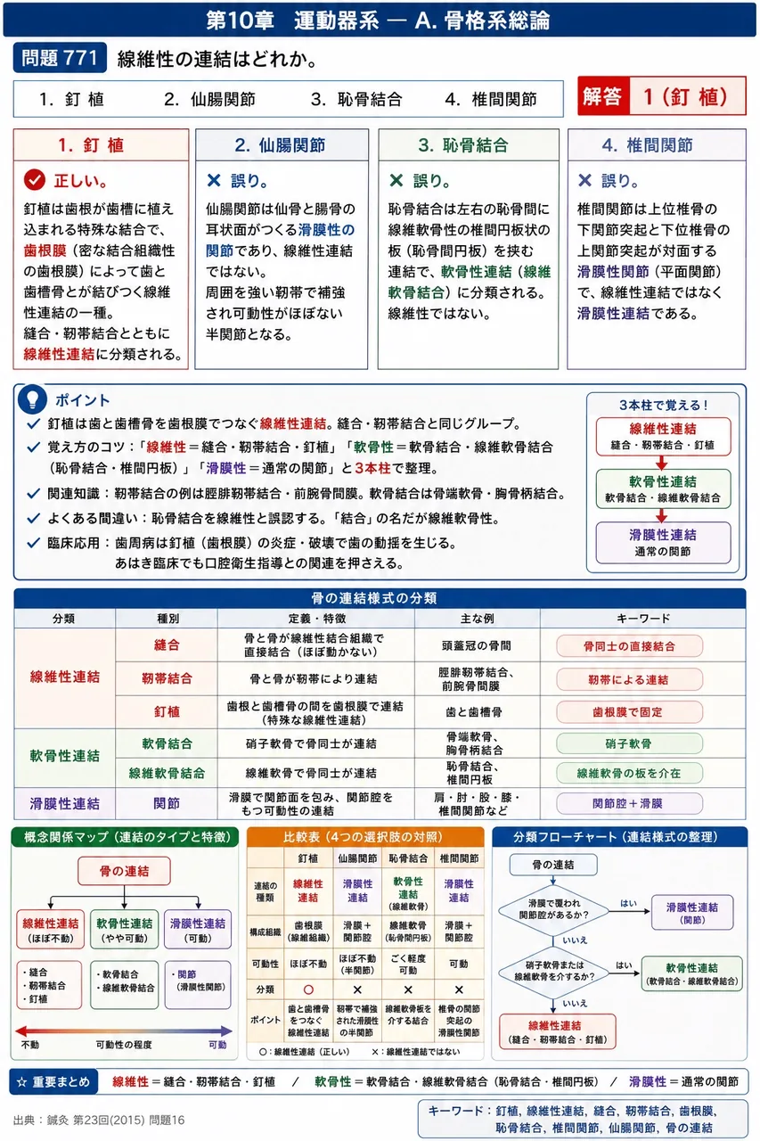 鍼灸 第23回(2015) 問題16|線維性の連結はどれか。 解説図