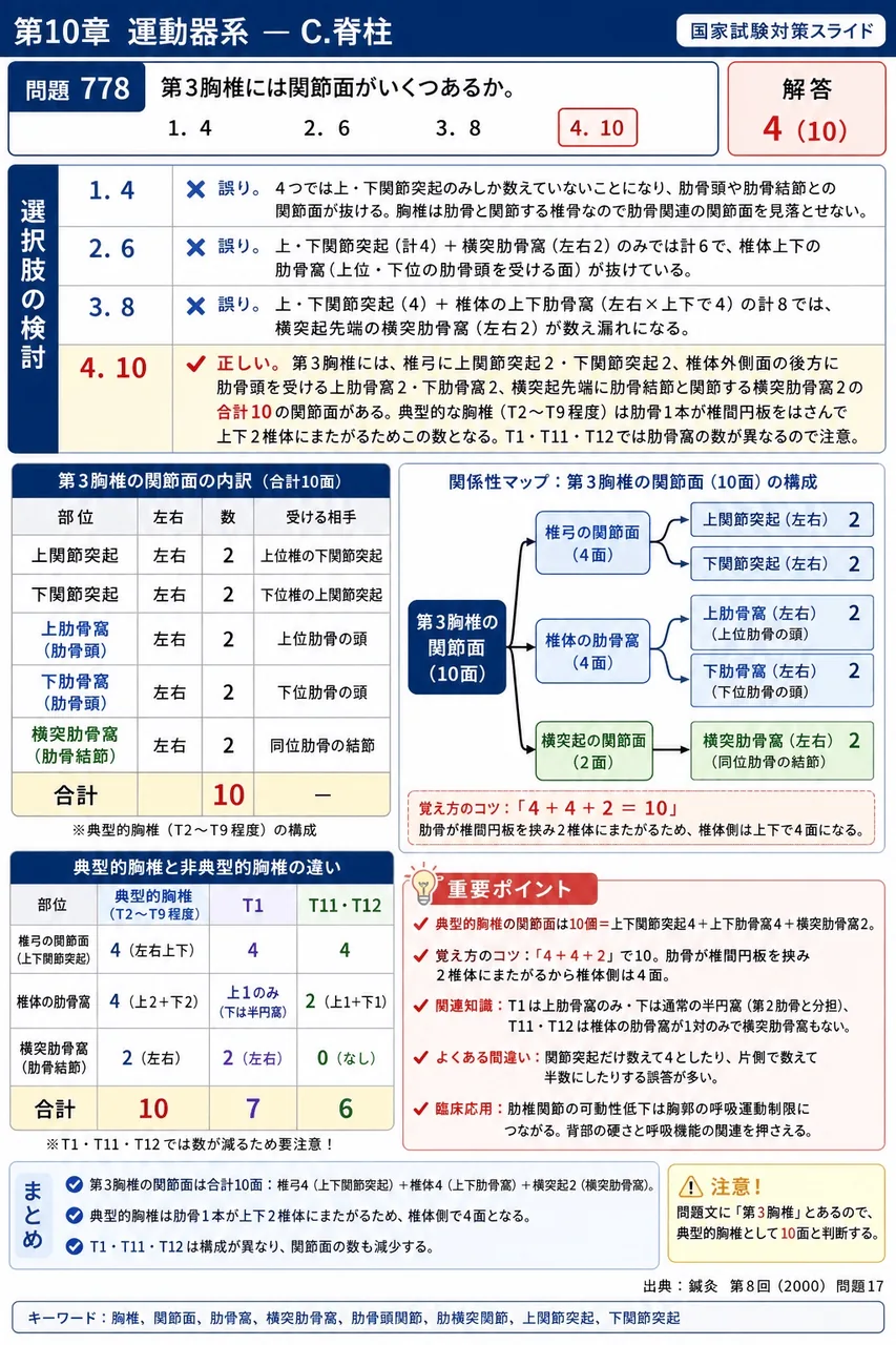 鍼灸 第8回(2000) 問題17｜第3胸椎には関節面がいくつあるか。 解説図