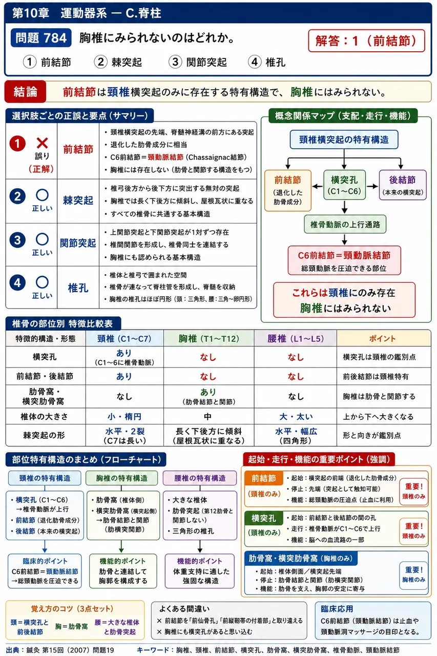 鍼灸 第15回(2007) 問題19｜胸椎にみられないのはどれか。 解説図