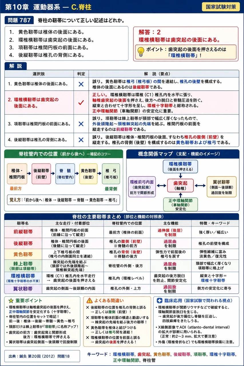 鍼灸 第20回(2012) 問題18｜脊柱の靱帯について正しい記述はどれか。 解説図
