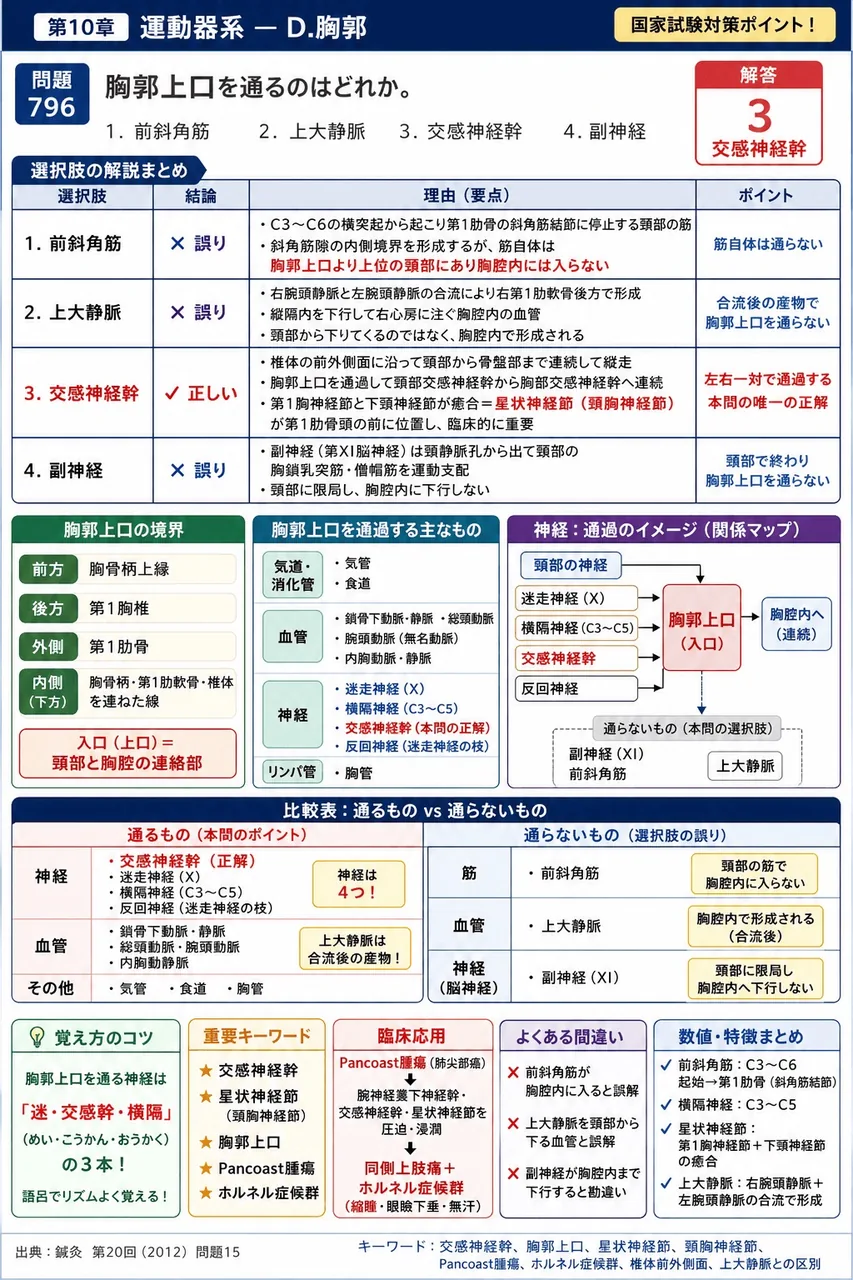 鍼灸 第20回(2012) 問題15｜胸郭上口を通るのはどれか。 解説図
