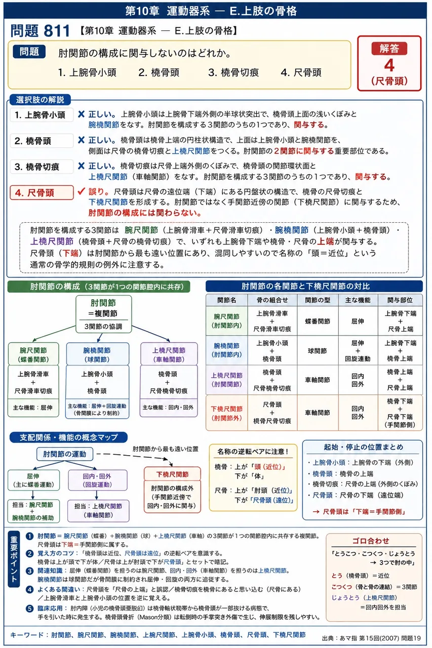 あマ指 第15回(2007) 問題19｜肘関節の構成に関与しないのはどれか。 解説図