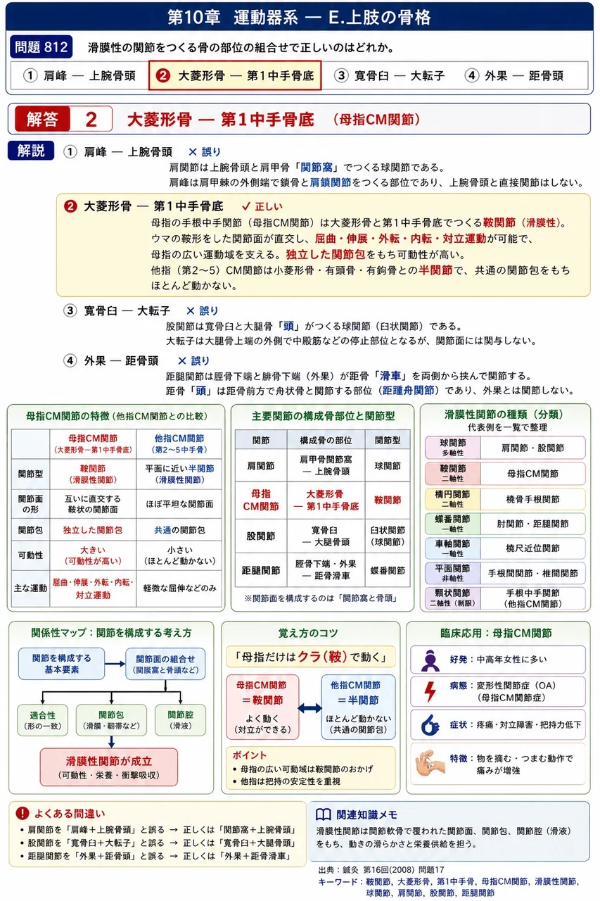 鍼灸 第16回(2008) 問題17｜滑膜性の関節をつくる骨の部位の組合せで正しいのはどれか。 解説図