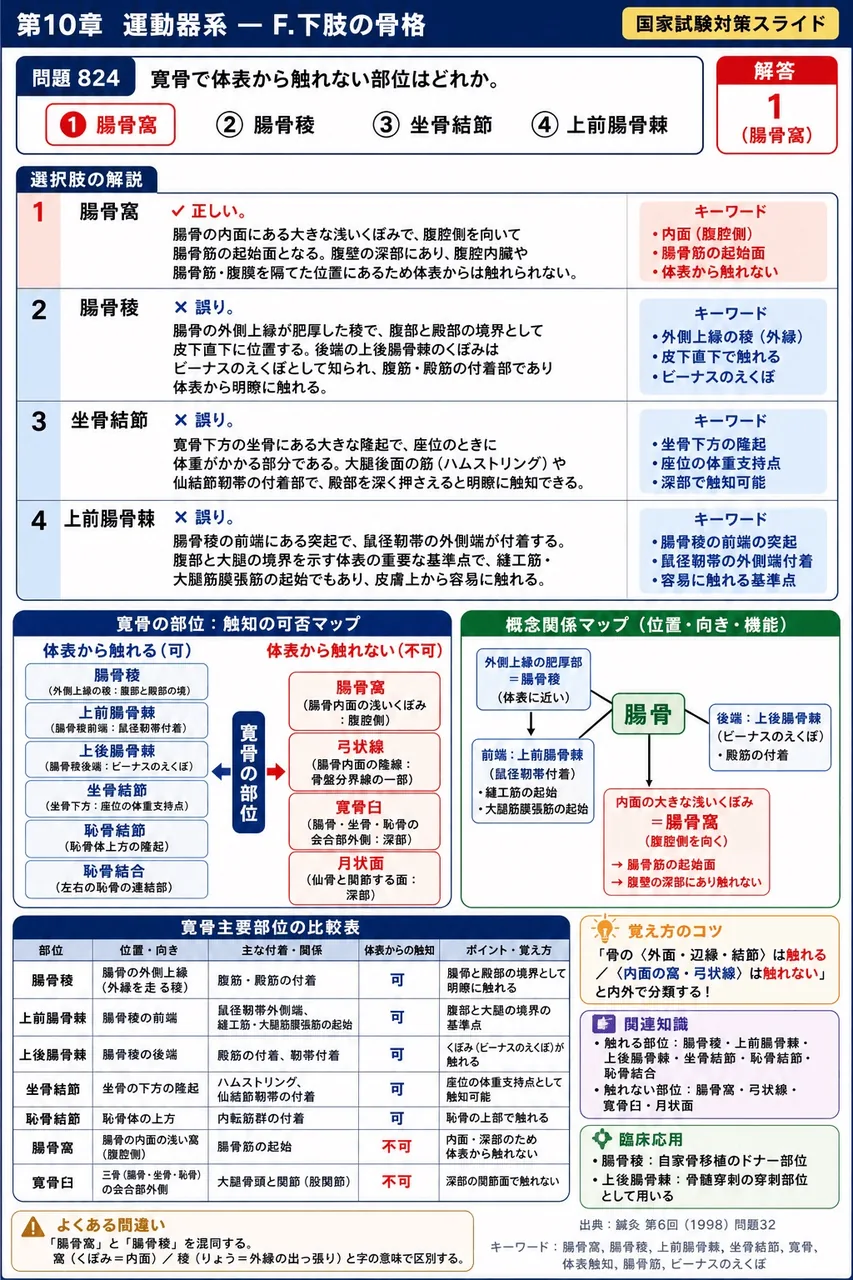 鍼灸 第6回(1998) 問題32｜寛骨で体表から触れない部位はどれか。 解説図