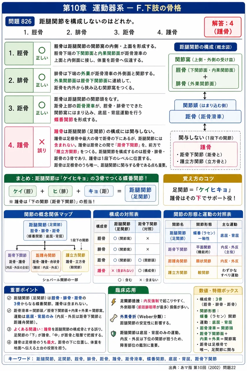 あマ指 第10回(2002) 問題22｜距腿関節を構成しないのはどれか。 解説図