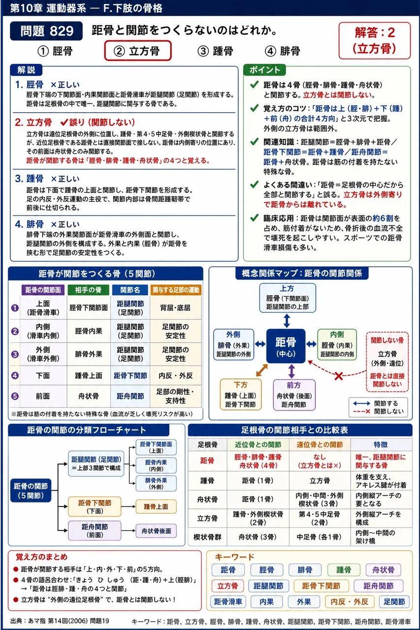 あマ指 第14回(2006) 問題19｜距骨と関節をつくらないのはどれか。 解説図