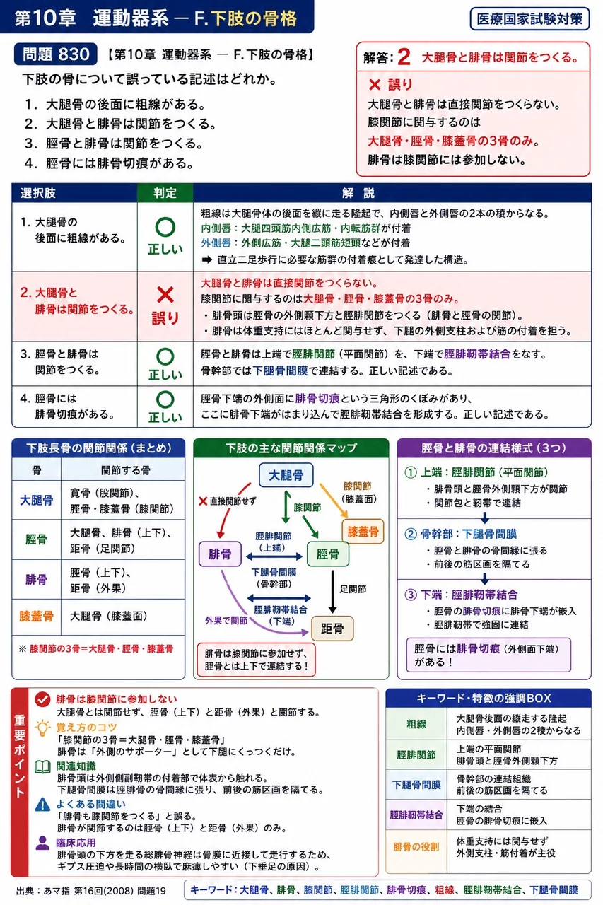 あマ指 第16回(2008) 問題19｜下肢の骨について誤っている記述はどれか。 解説図