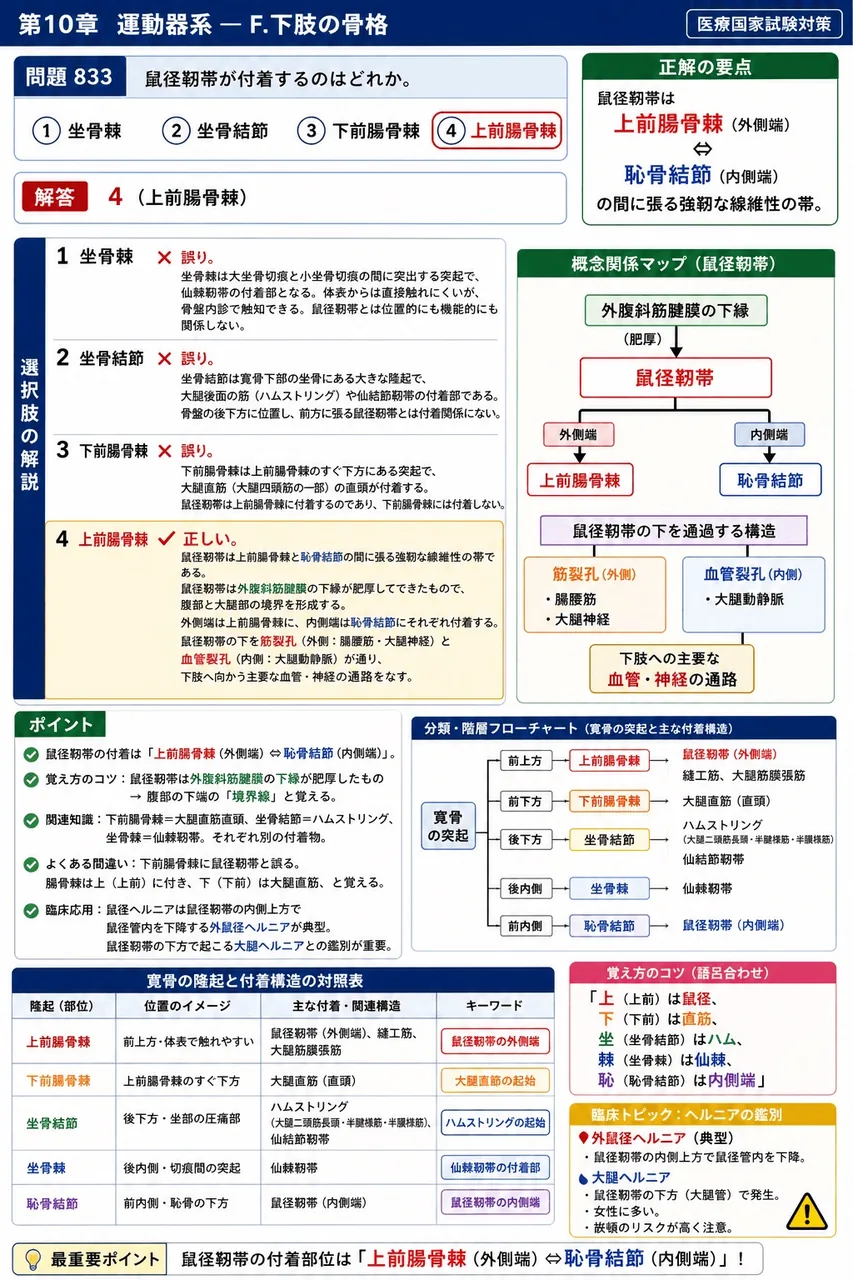 あマ指 第21回(2013) 問題18｜鼠径靱帯が付着するのはどれか。 解説図