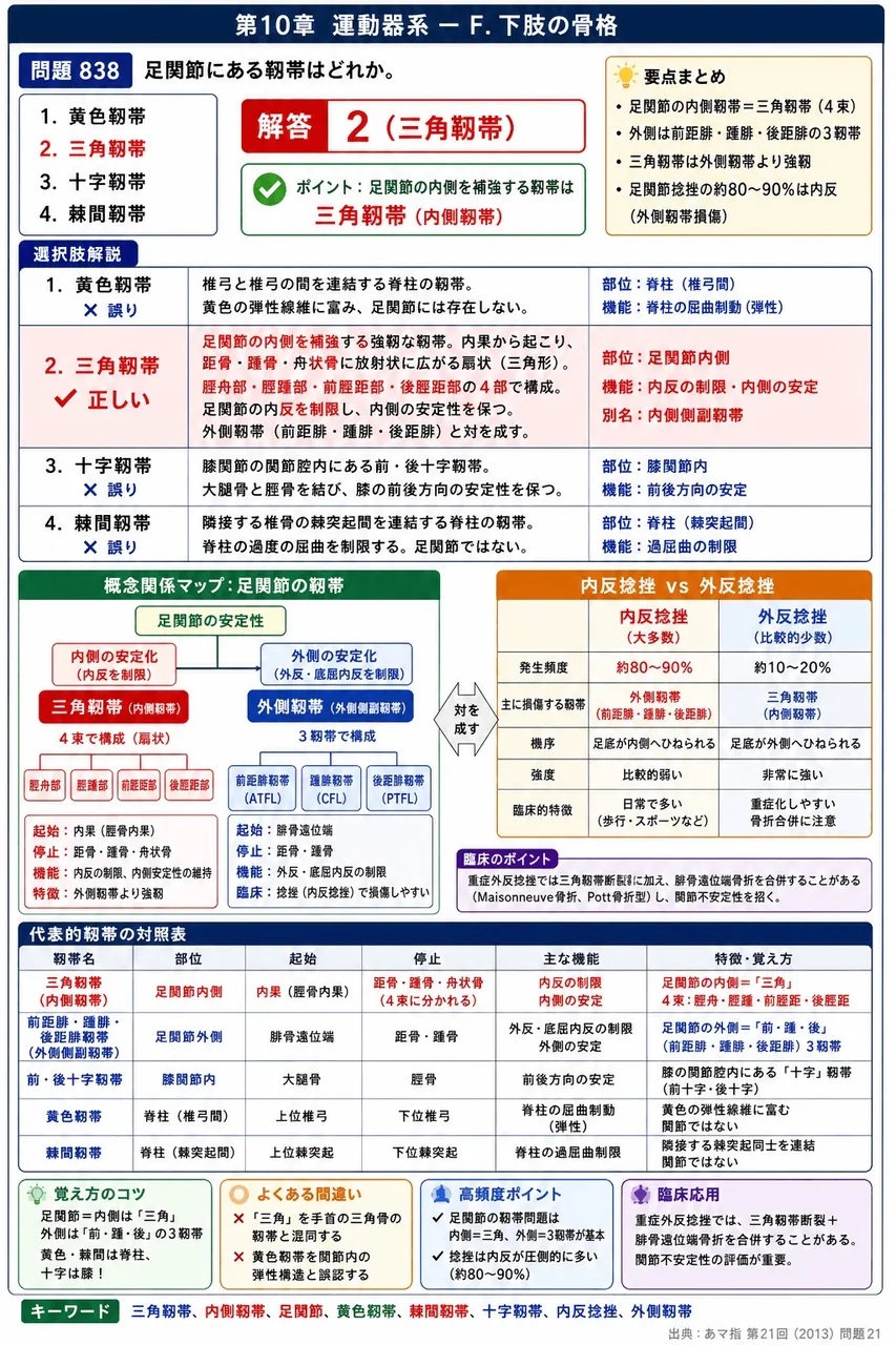 あマ指 第21回(2013) 問題21|足関節にある靱帯はどれか。 解説図